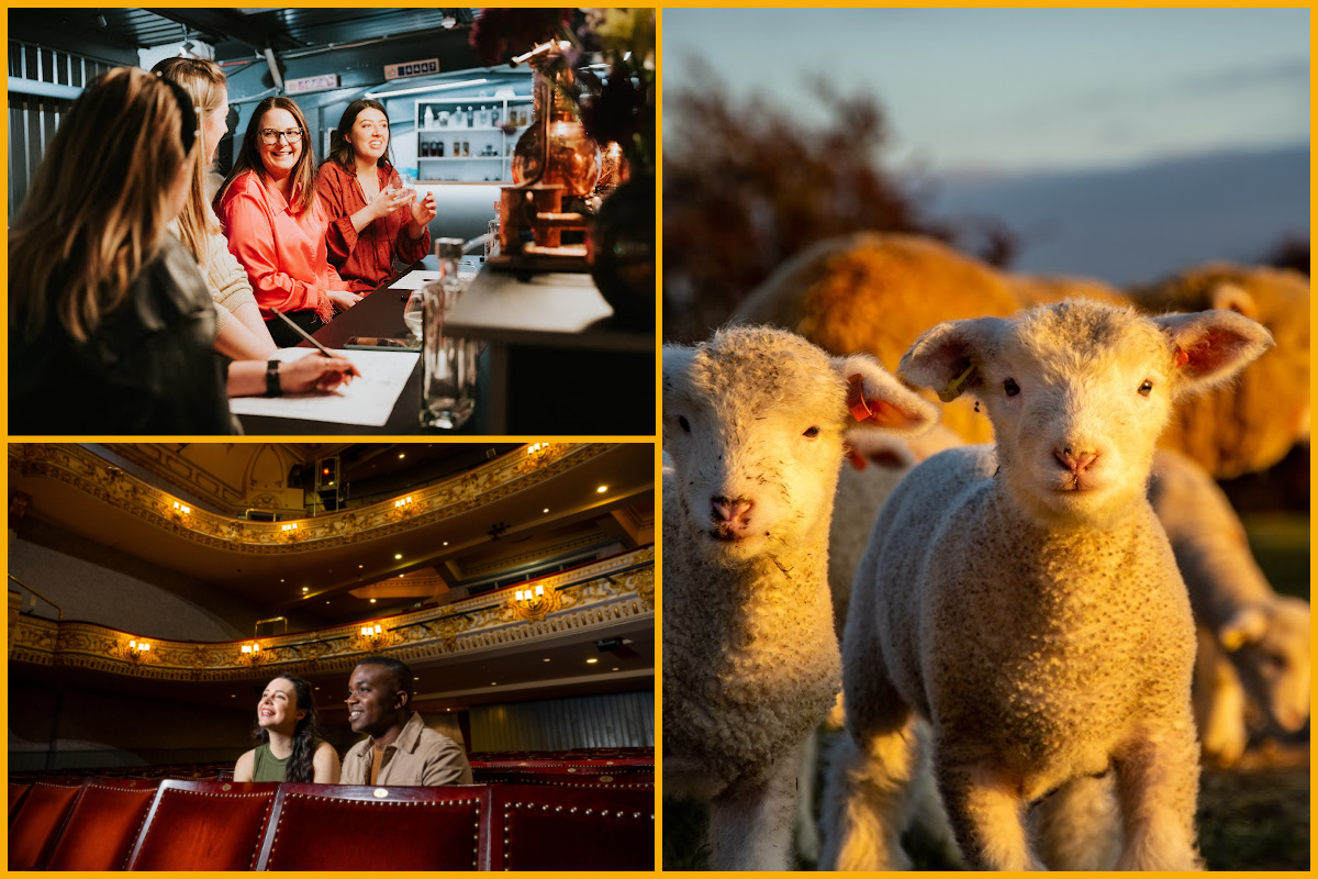 Piston Gin School, Everyman Theatre and Cotswold Farm Park